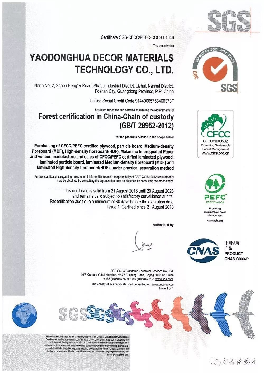 1552615335122550.jpg 2.jpg